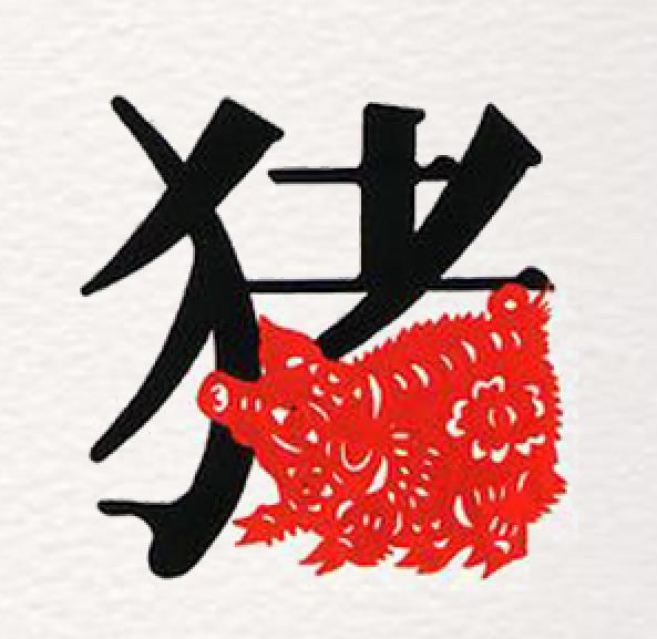 属猪2019年本命年运势,2007属猪2022年本命年运势如何