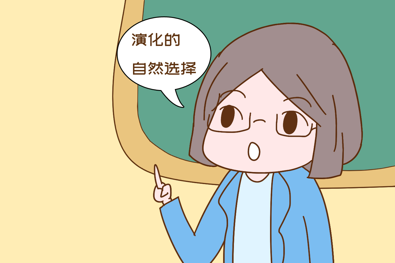 胎儿性别一开始就决定了吗,胎儿性别是一开始就决定的吗