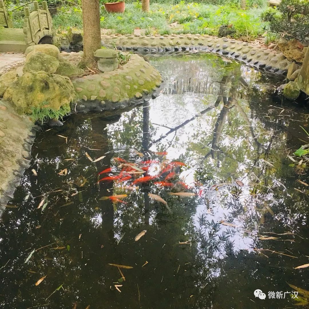 游记|来和兴吧！这里的美景美食每一样都超skr~