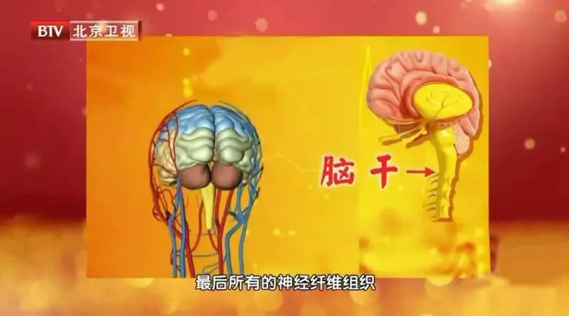 老年痴呆的十大危险信号你有吗,老年痴呆居然有20年的潜伏期