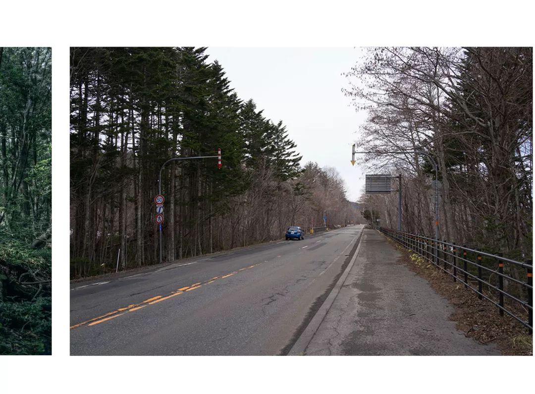 日本每年3万人自杀,韩星自杀成风…他探访3大自杀圣地,让人心惊