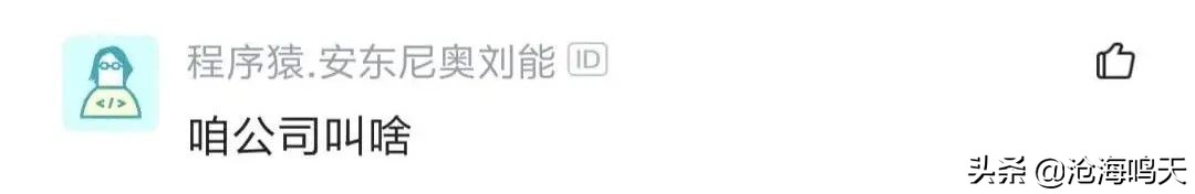 国企程序员都做什么的呀,国企程序员都做什么工作