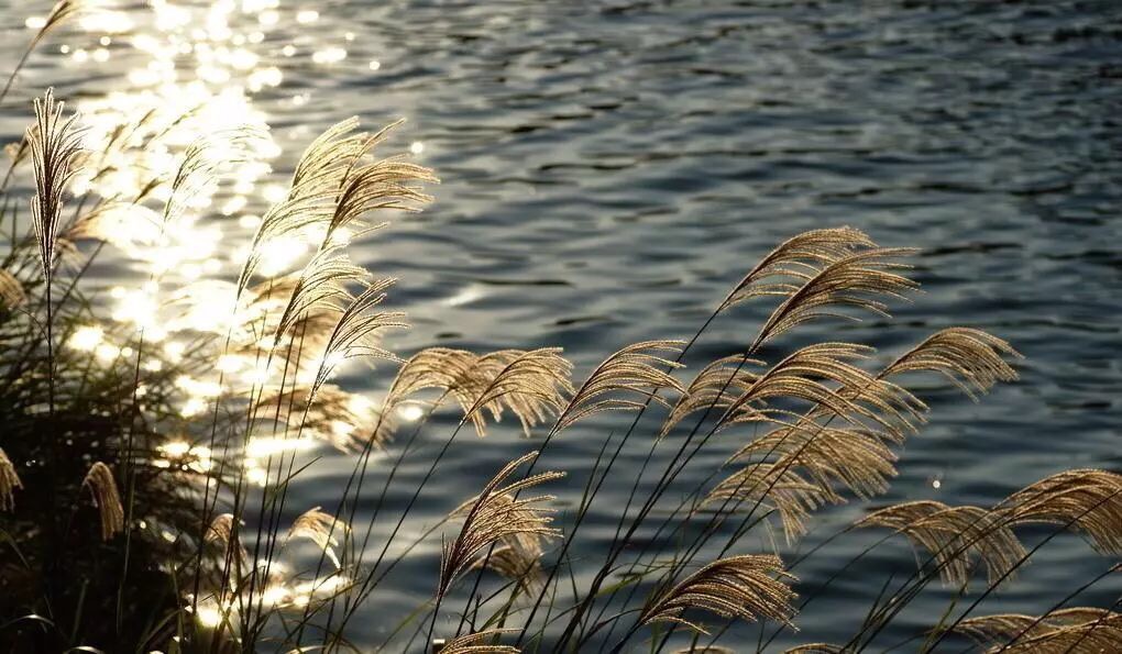 成都二环路上的蛋糕店夫妇：从此人间不相见