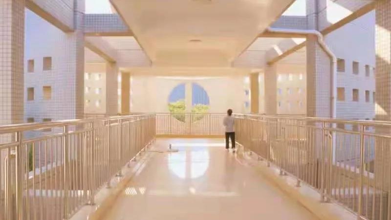 “我是女同性恋者”