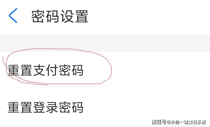 支付宝支付密码忘了怎么办苹果,支付宝支付密码忘了怎么办小米
