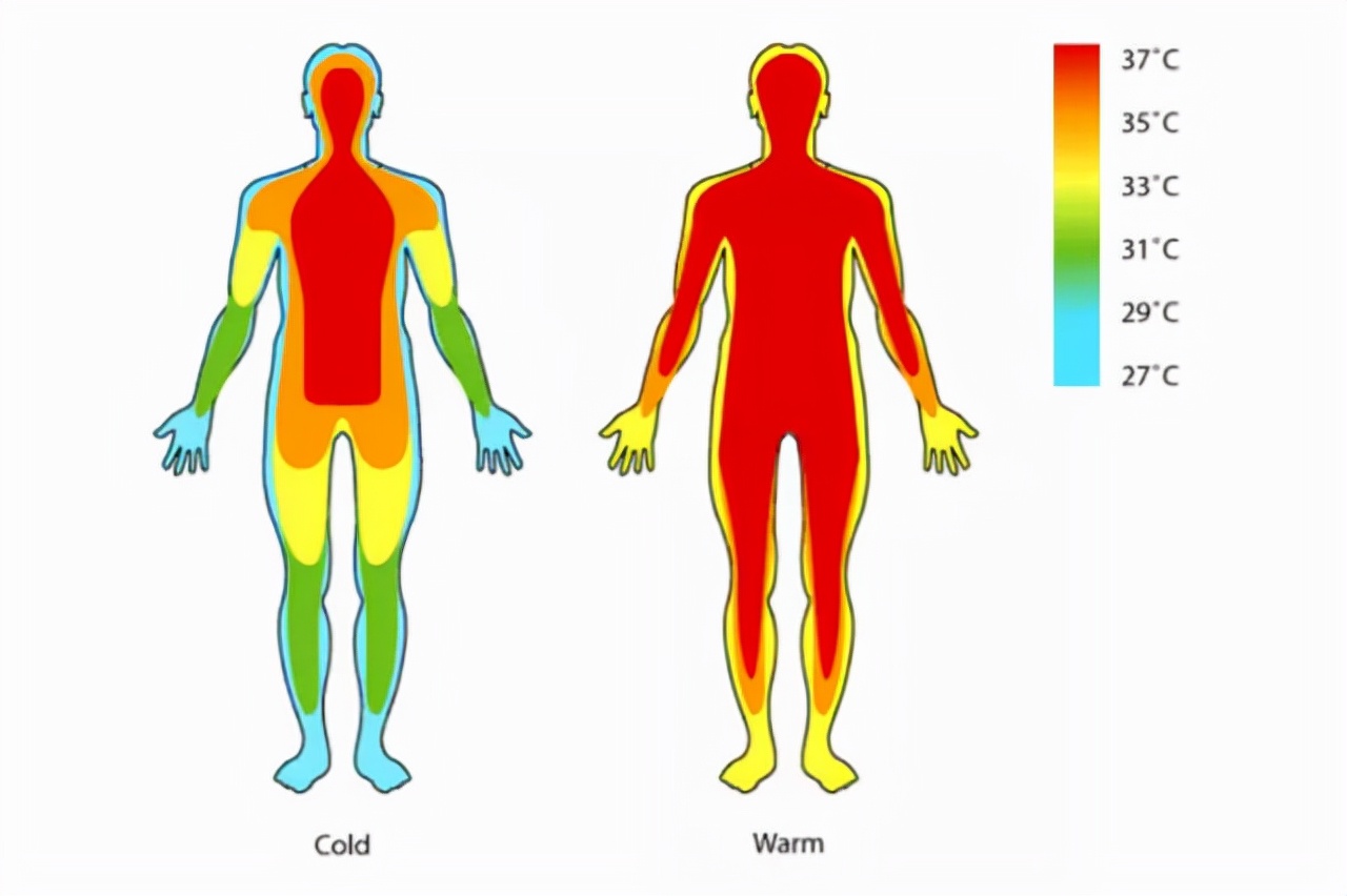 罗盘遇到怪事真的会受到干扰吗,哀牢山失踪人员有带罗盘吗