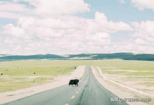 怀孕了可以向法院起诉男方吗,怀孕了老公不承认我可以起诉他吗