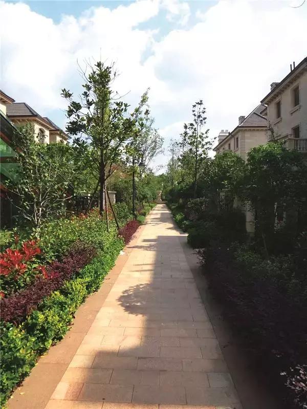 景观施工图铺装,常见景观铺装设计