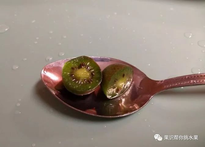 中国哪些水果在美国买不到？美国又有哪些水果中国没有？