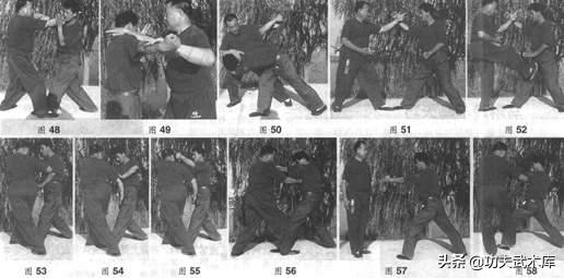 形意拳鼍形,武术象形拳之鸭子拳