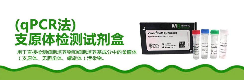 德国MB公司的支原体荧光定量检测试剂盒