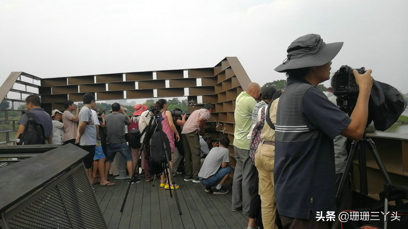 广州湿地公园推荐,广州龙潭河湿地公园