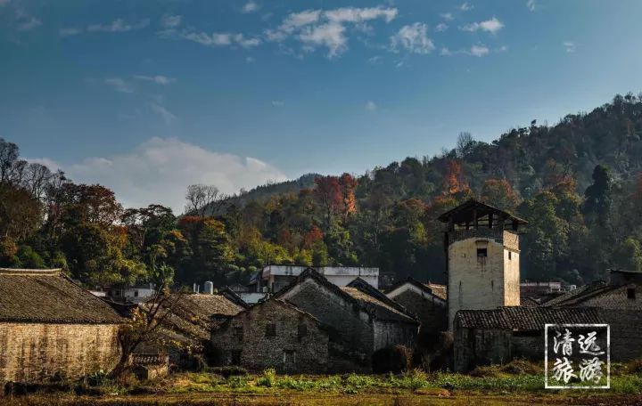 娓呰繙杩炲窞绾㈡灚,杩炲窞楂樺北绾㈡灚
