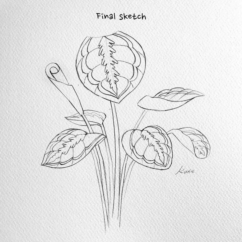 一分钟教你简单画花,简单的花卉图教程