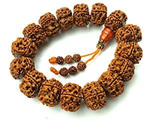 高档菩提子桃红色,高档菩提子种类有哪些