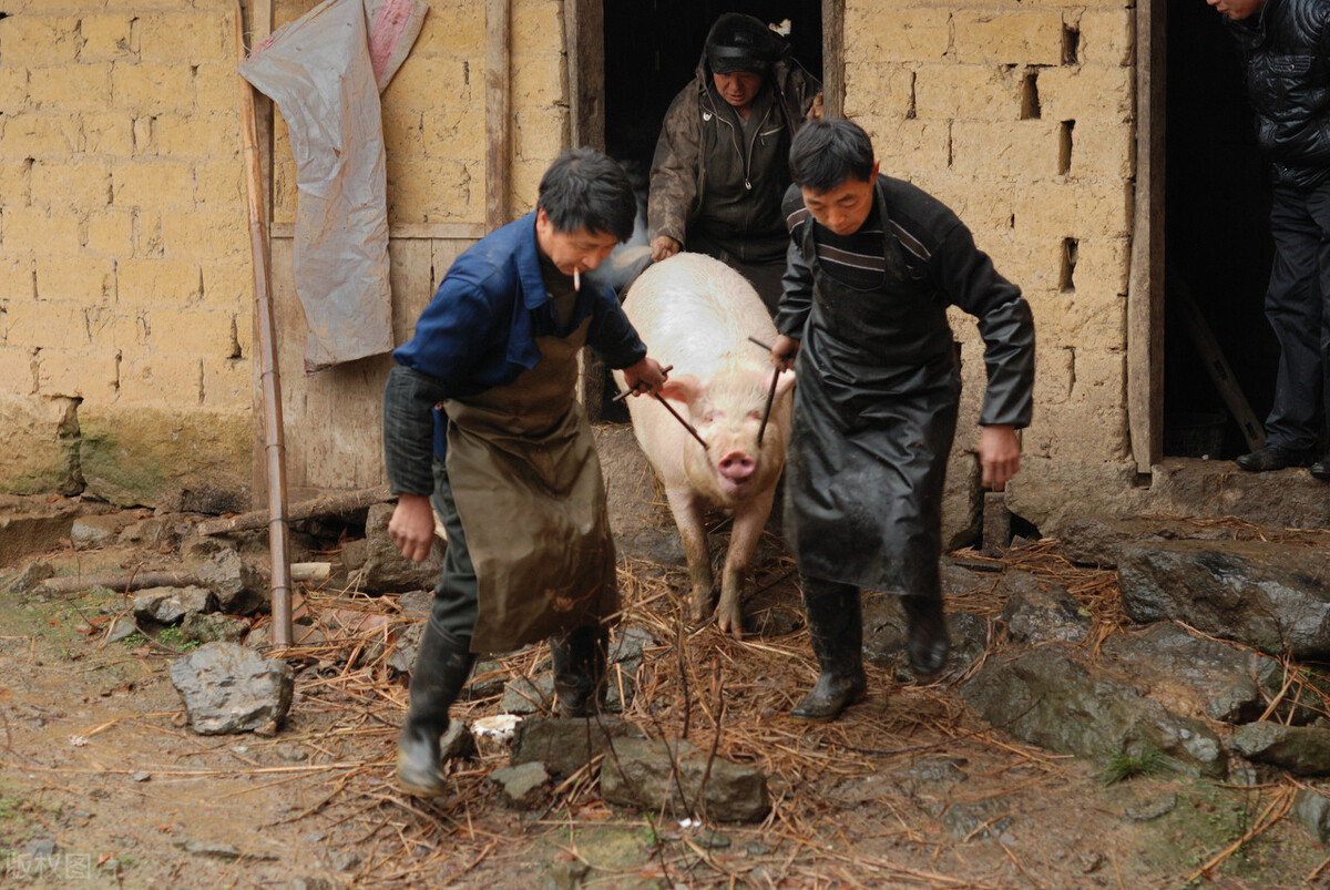 乡村童年回忆杀,乡村回忆往事