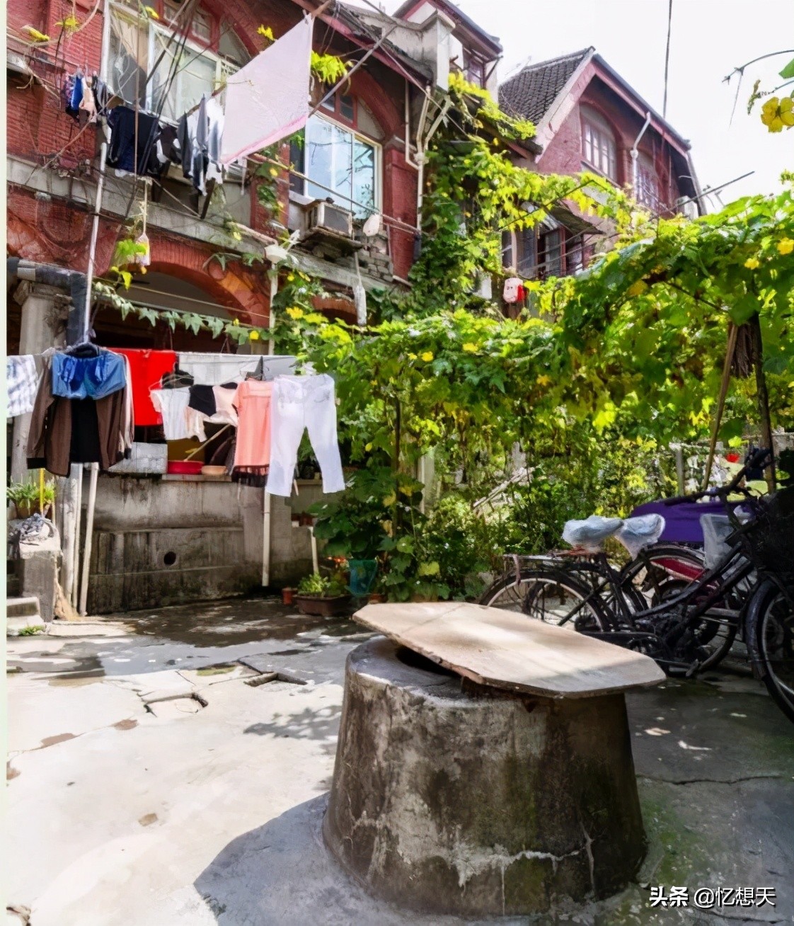 尘封的井口，尘封不了的记忆