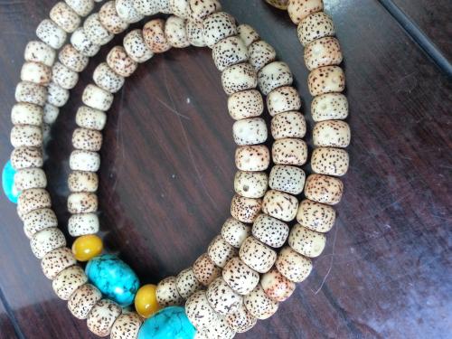 星月菩提的秘密视频,星月菩提阴皮染色区分