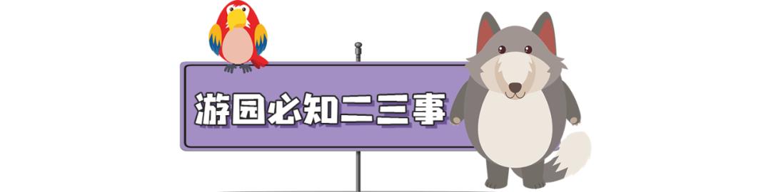 长隆飞鸟乐园长隆熊猫酒店怎么选,周一长隆野生动物园游玩攻略