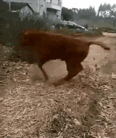 把中间的门店租下来取什么名字好,租下门面不知道取什么名字