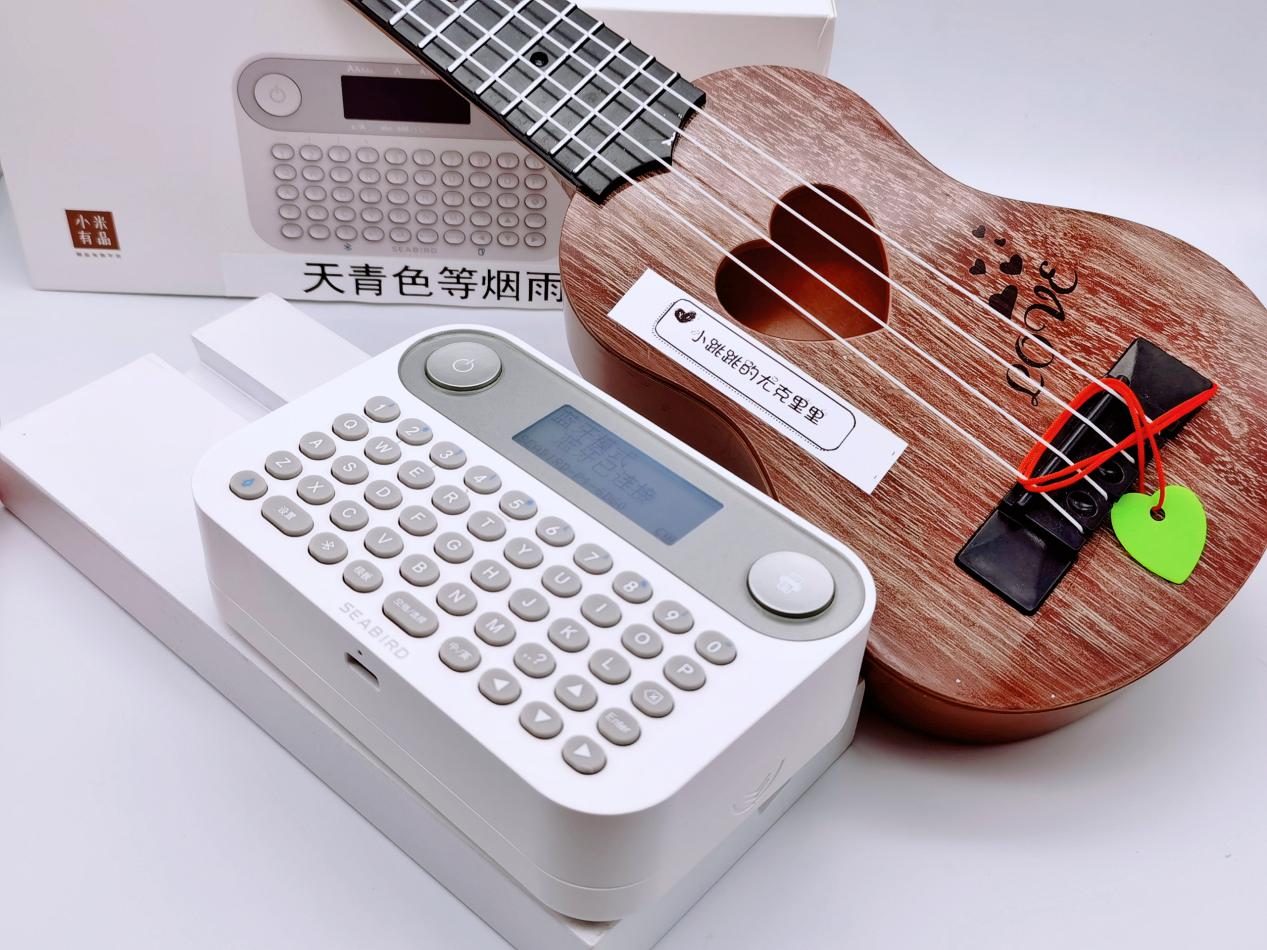 海鸟贴纸打印机操作视频,海鸟家用标签打印机使用教程