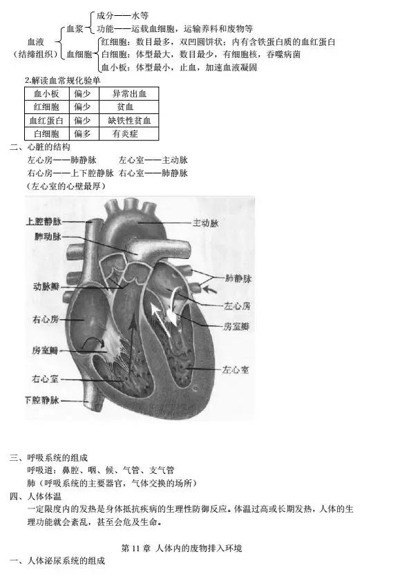 初中生物各单元所有知识点汇总,初中生物会考知识点总结完整版