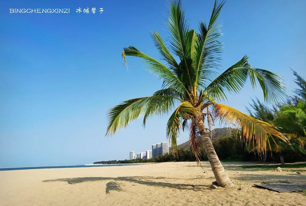 踏海听浪游泳的相关歌曲,听海的声音海浪拍打沙滩