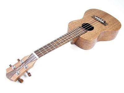 尤克里里遇见初学者入门教程,尤克里里初学者怎么选