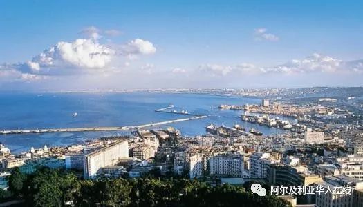 阿尔及利亚华人生活,阿尔及利亚华人的现状