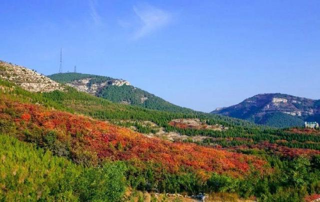 济南旅游景点推荐带孩子玩,济南旅游景点推荐适合带孩子