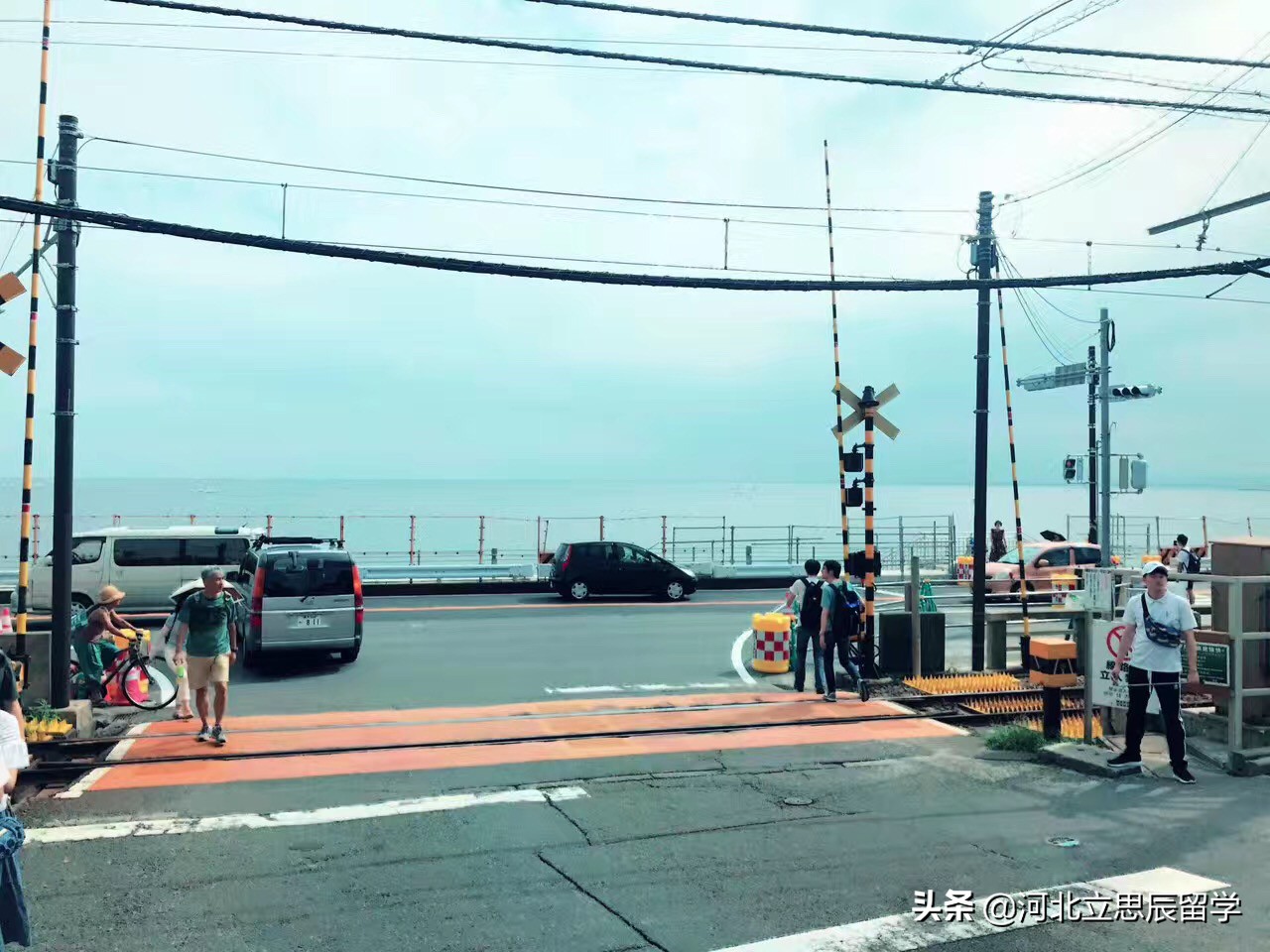 濡備綍鐢宠鏃ユ湰sgu椤圭洰鏈,鏃ユ湰鐣欏sgu椤圭洰鏉愭枡涓撲笟