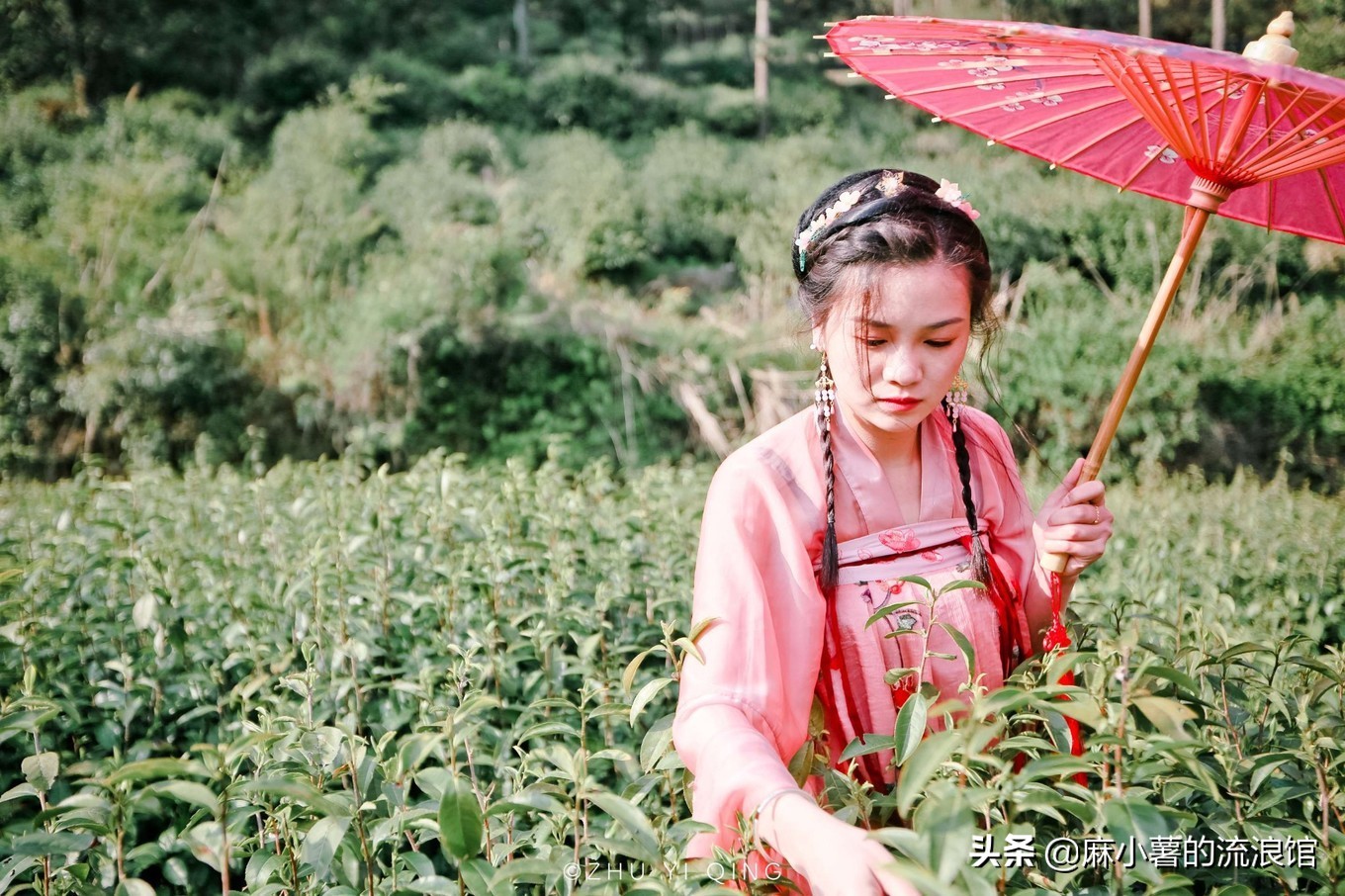 最早的抹茶是什么茶做的,日本抹茶源于中国唐宋的点茶法