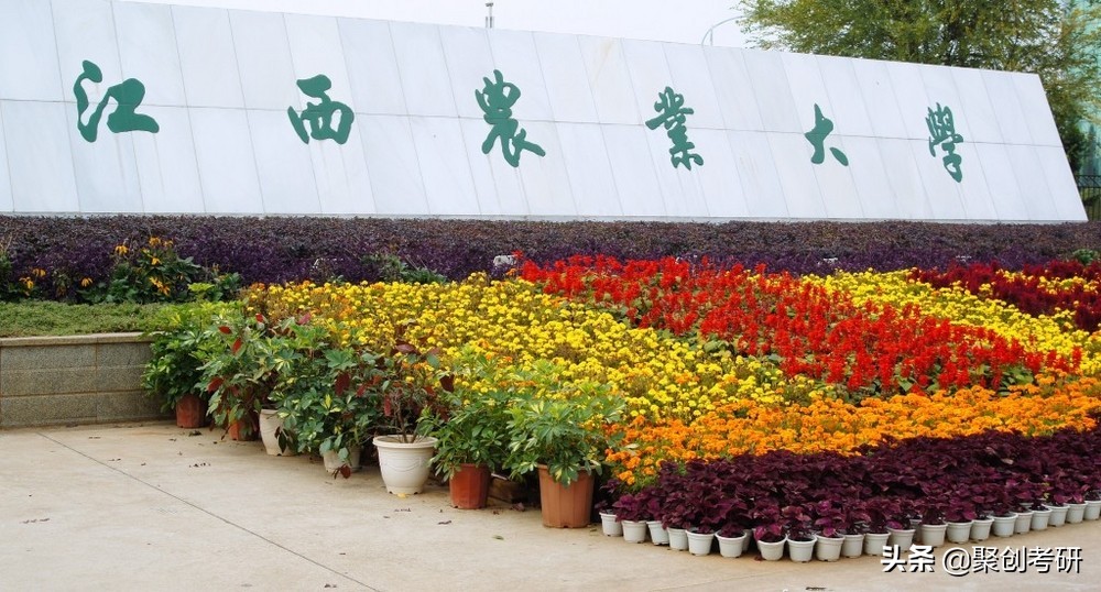 聚创考研择校分析｜江西农业大学农村发展好考吗？值得报考吗？