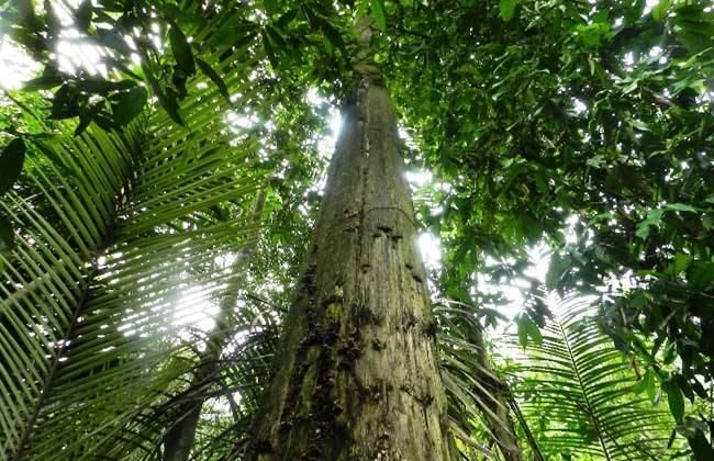 盘点史上最全中国各城市市花,中国各个地方的市花