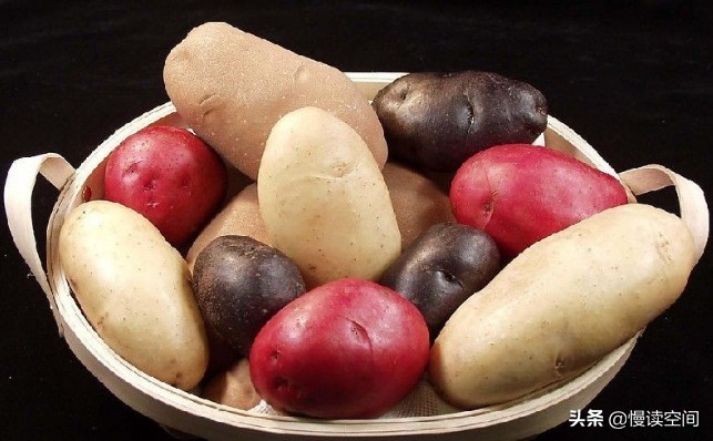 素食流行的原因,素食行业历史真相