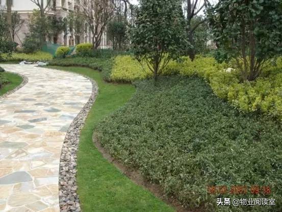 小区绿化养护一般做哪些工作,小区绿化养护需要什么资质