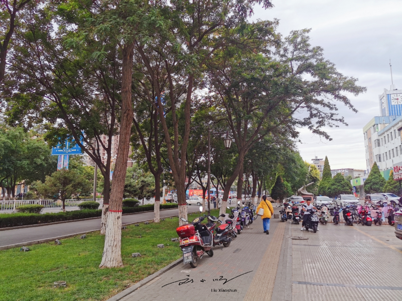 宁夏银川凉皮,宁夏银川经济怎样