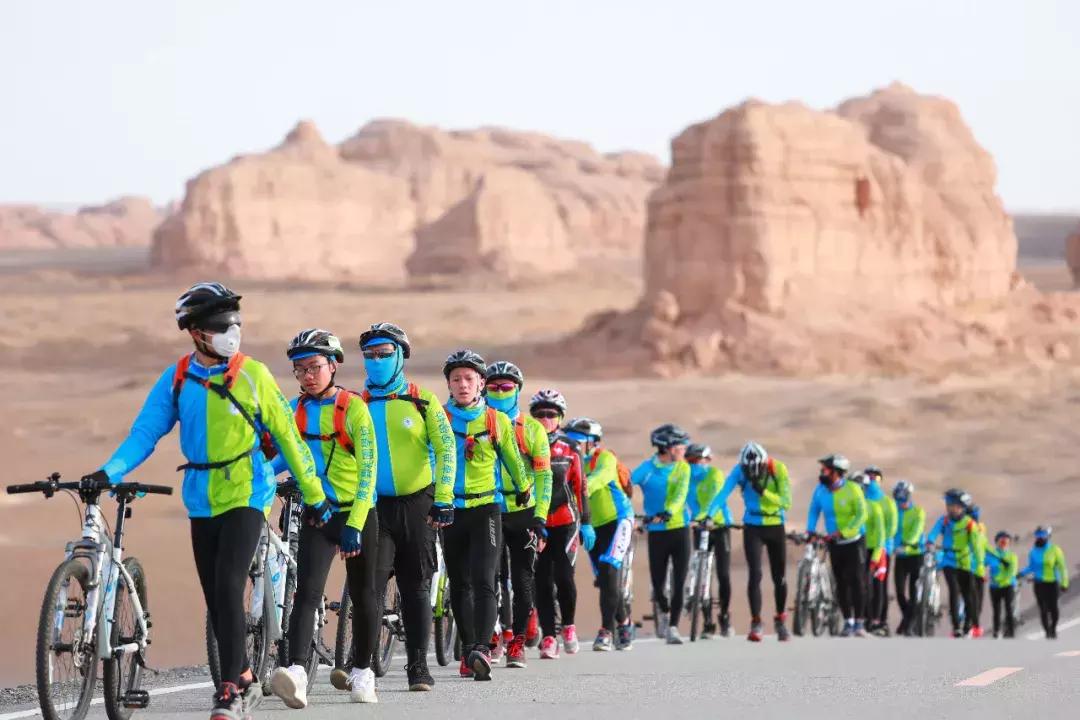 博实乐2017,博实乐实时情况