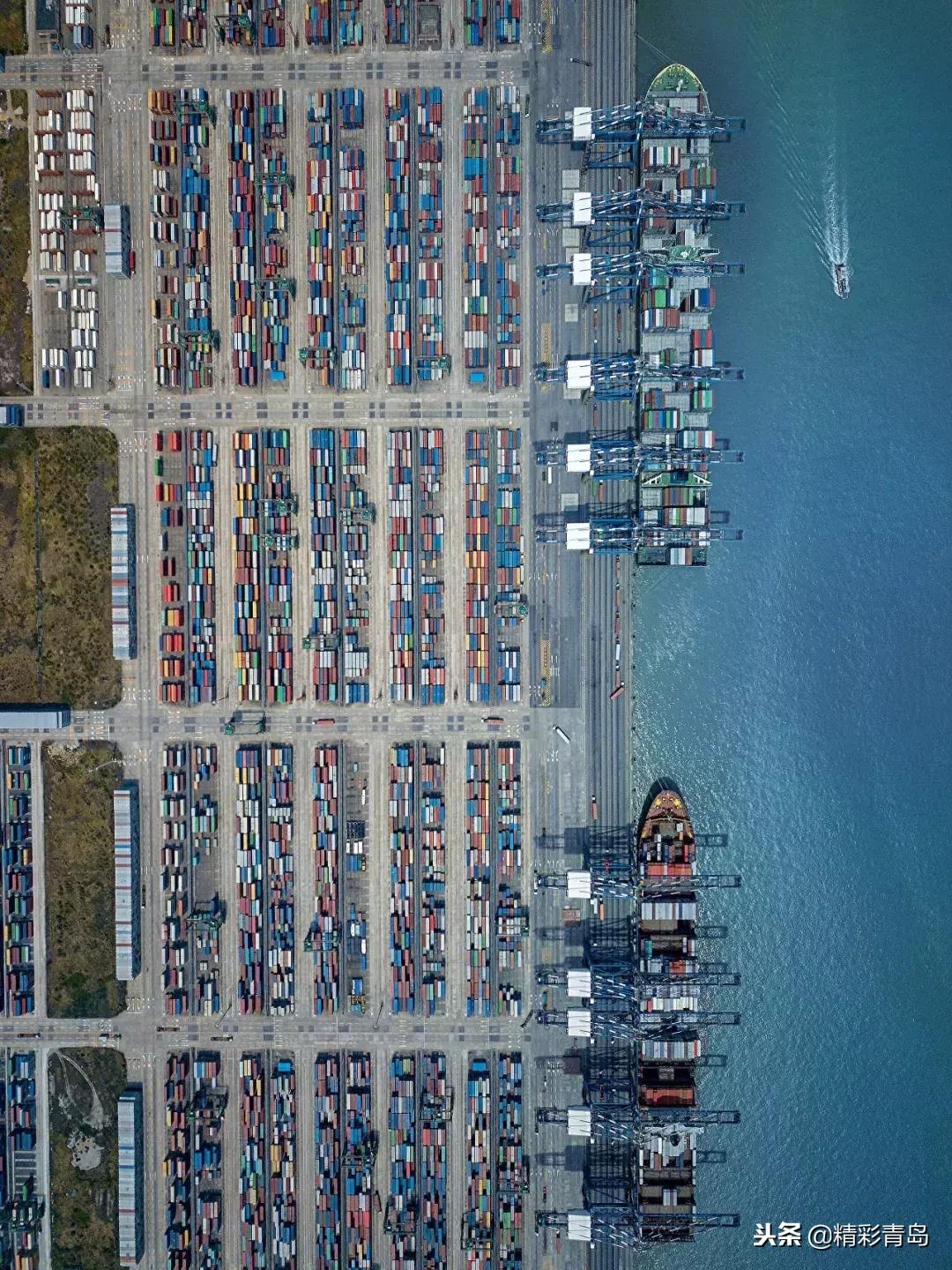 什么是麻雀定律,什么是应激反应表现有哪些