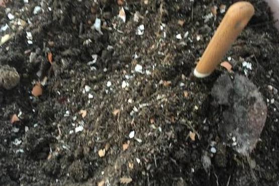 养花的土怎么才能改善酸性土壤,想要土壤疏松透气加什么