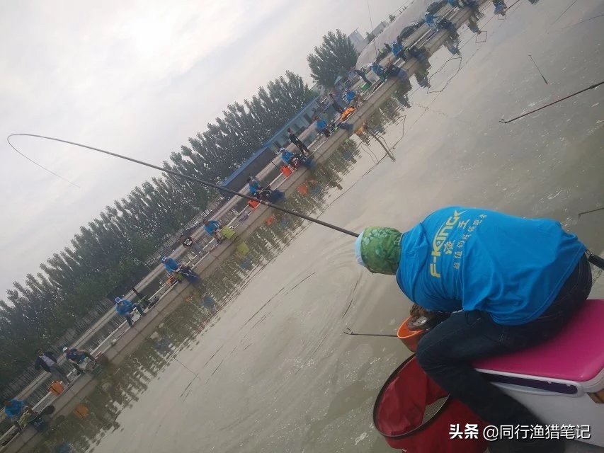 软粘饵的最佳状态,软黏饵的实战用法