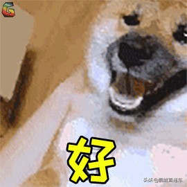 下雨过后路边为什么会出现蜗牛,深圳雨后出现非洲大蜗牛怎么处理