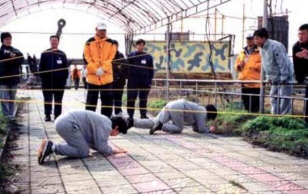 偷天陷阱男主怎么逃脱的,偷天陷阱男主角