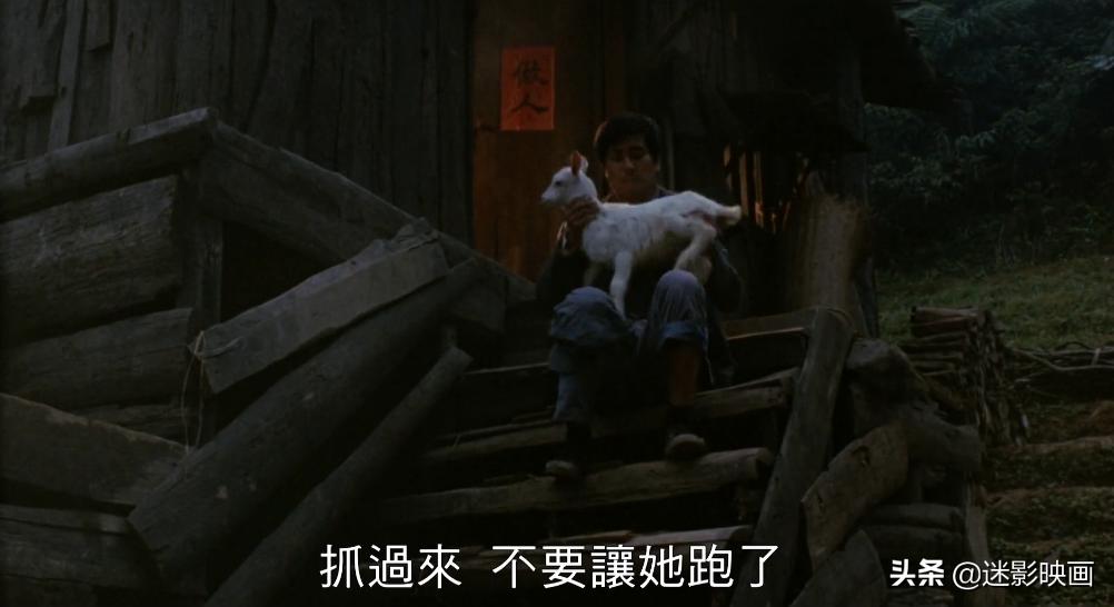 31年前的*片禁**，一位母亲被卖给7个丈夫，将人性丑恶暴露无遗