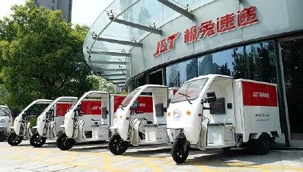 拼多多可以买兔子,拼多多十几块的兔子