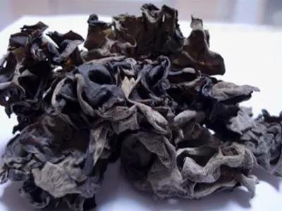 商洛人都不知道的特产,商洛野果特产