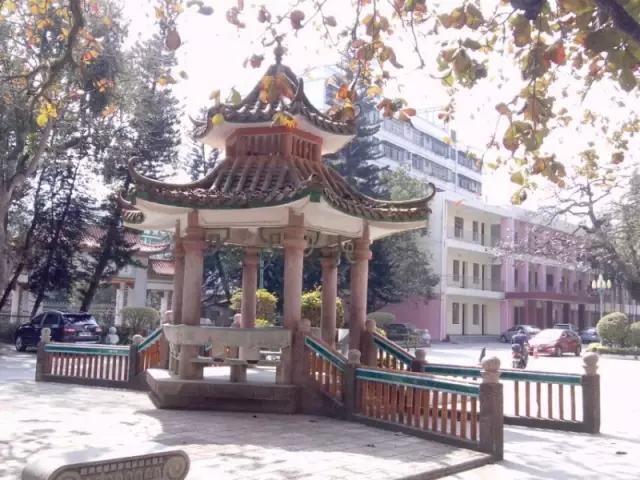 龙华最美高中,海口十大最有名的高中排行榜