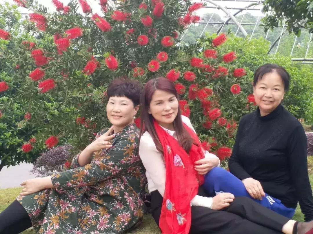 澶у鍑洪棬鏃呮父鎷嶇収濮垮娍鍚堣緫,涓浗澶у澶栧嚭鏃呮父