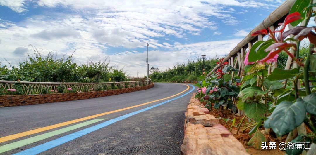 探访深山竹林倍感神清气爽,蒲江遥望雪山感受诗意栖居