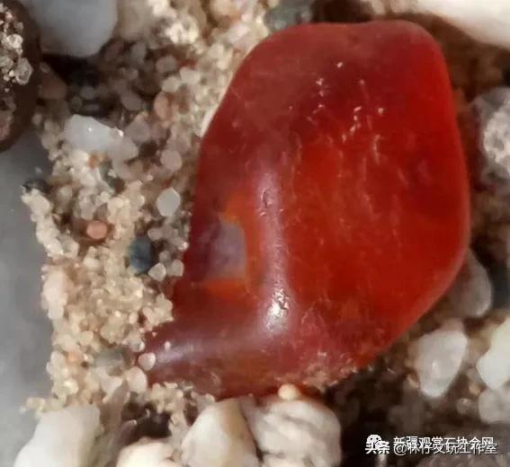 最好的新疆金丝玉,纯正金丝玉